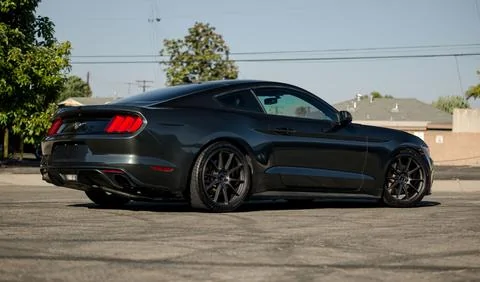 RS18_MG_mustang_2_large.webp
