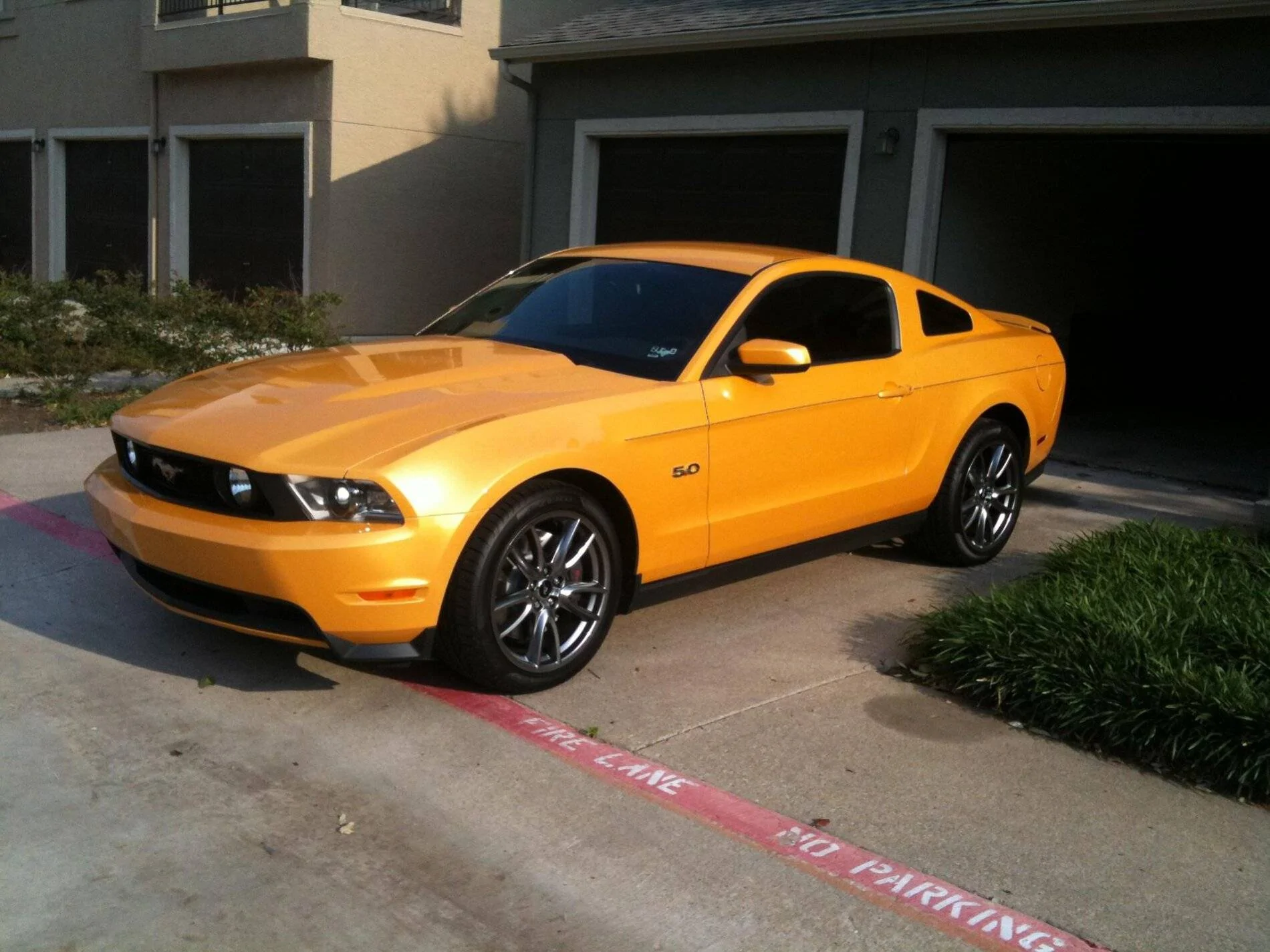Yellow Blaze.webp