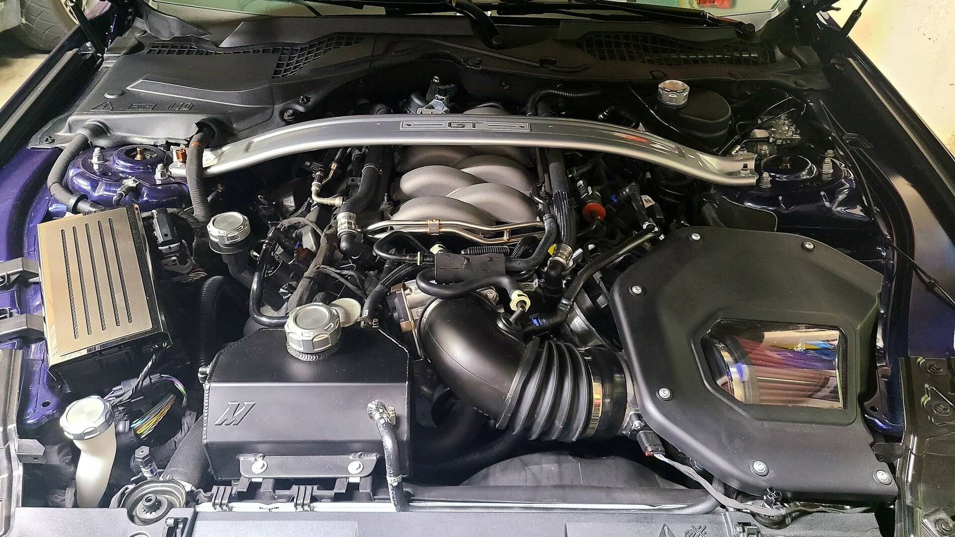 Blu Engine Bay.jpg