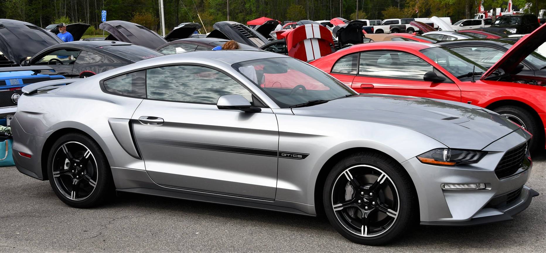 Ravenalcarshow.jpg