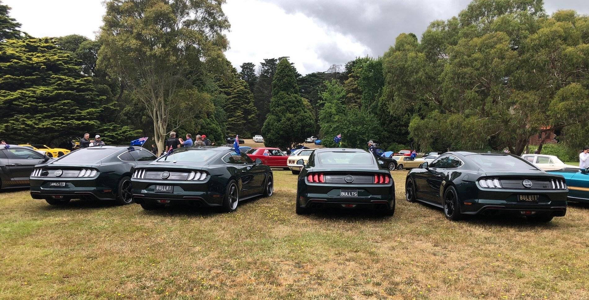 Bullitt gathering.jpg