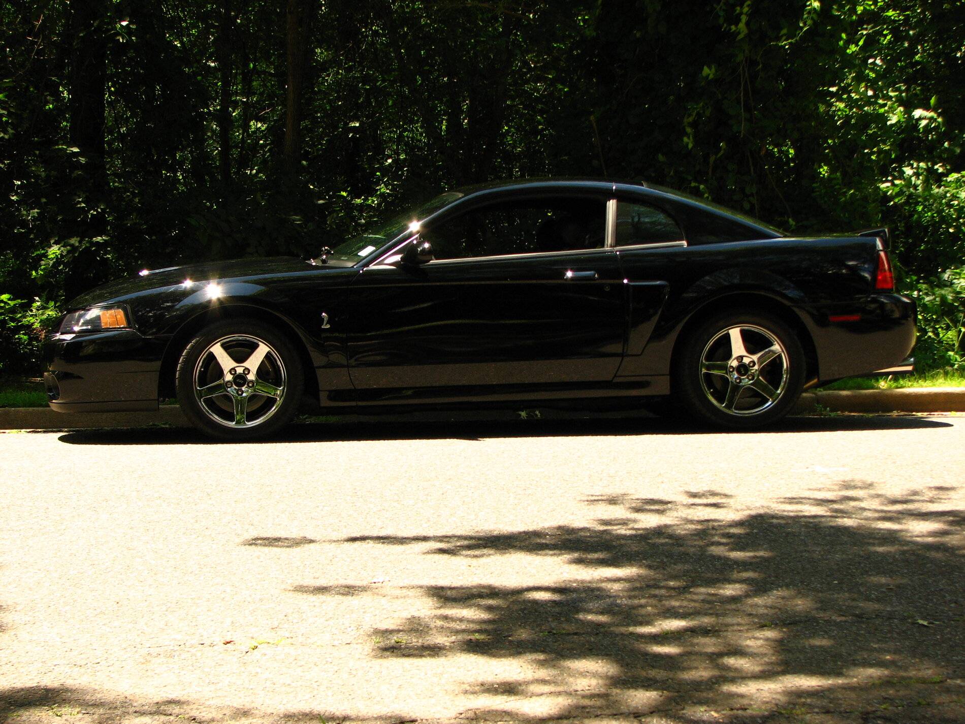Pictures 371.jpg