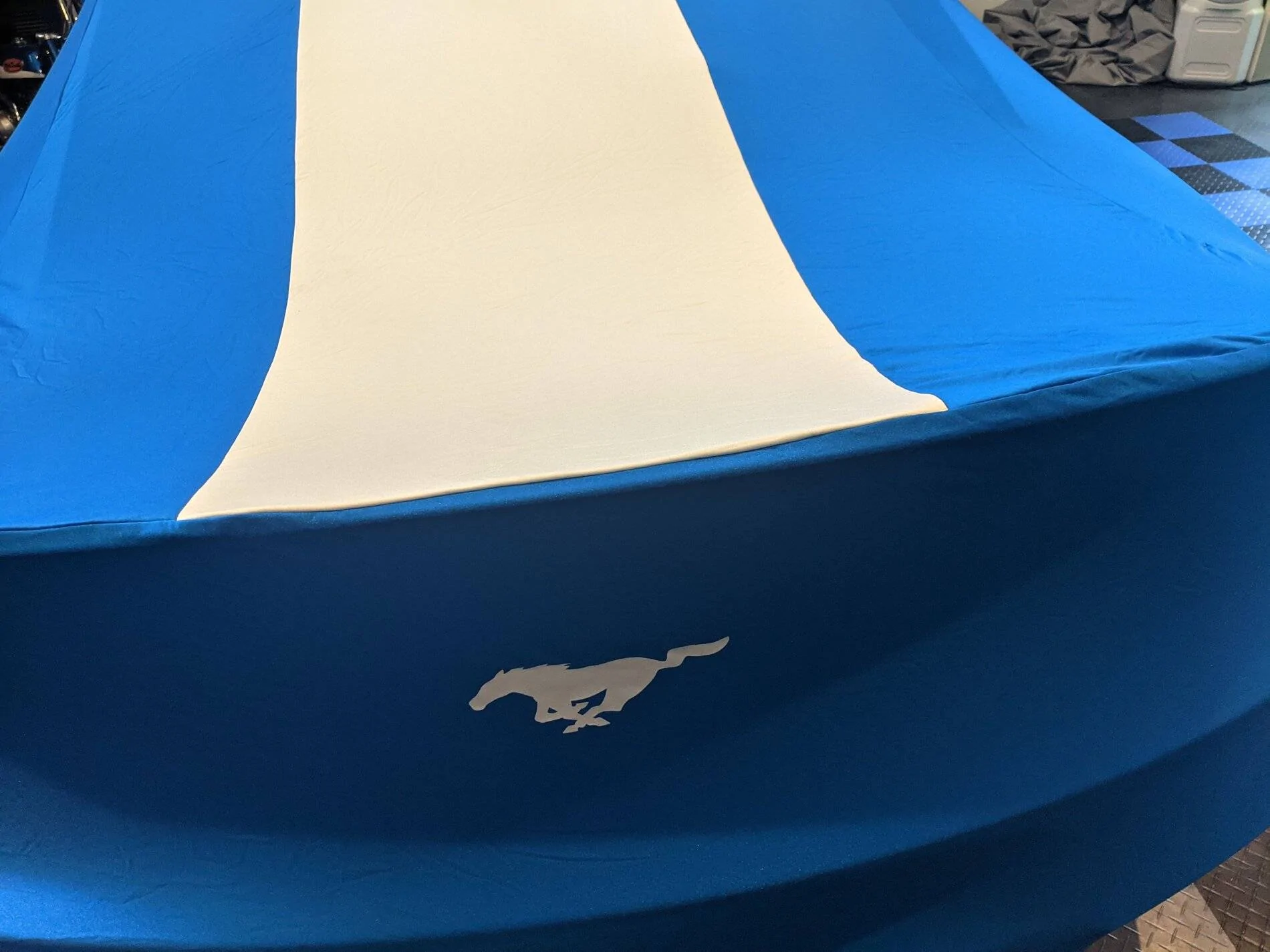 Mustang cover (6).webp