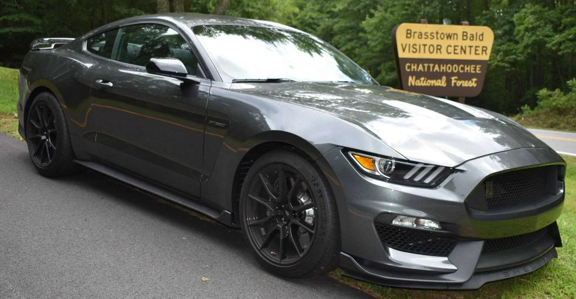 2019GT350.webp