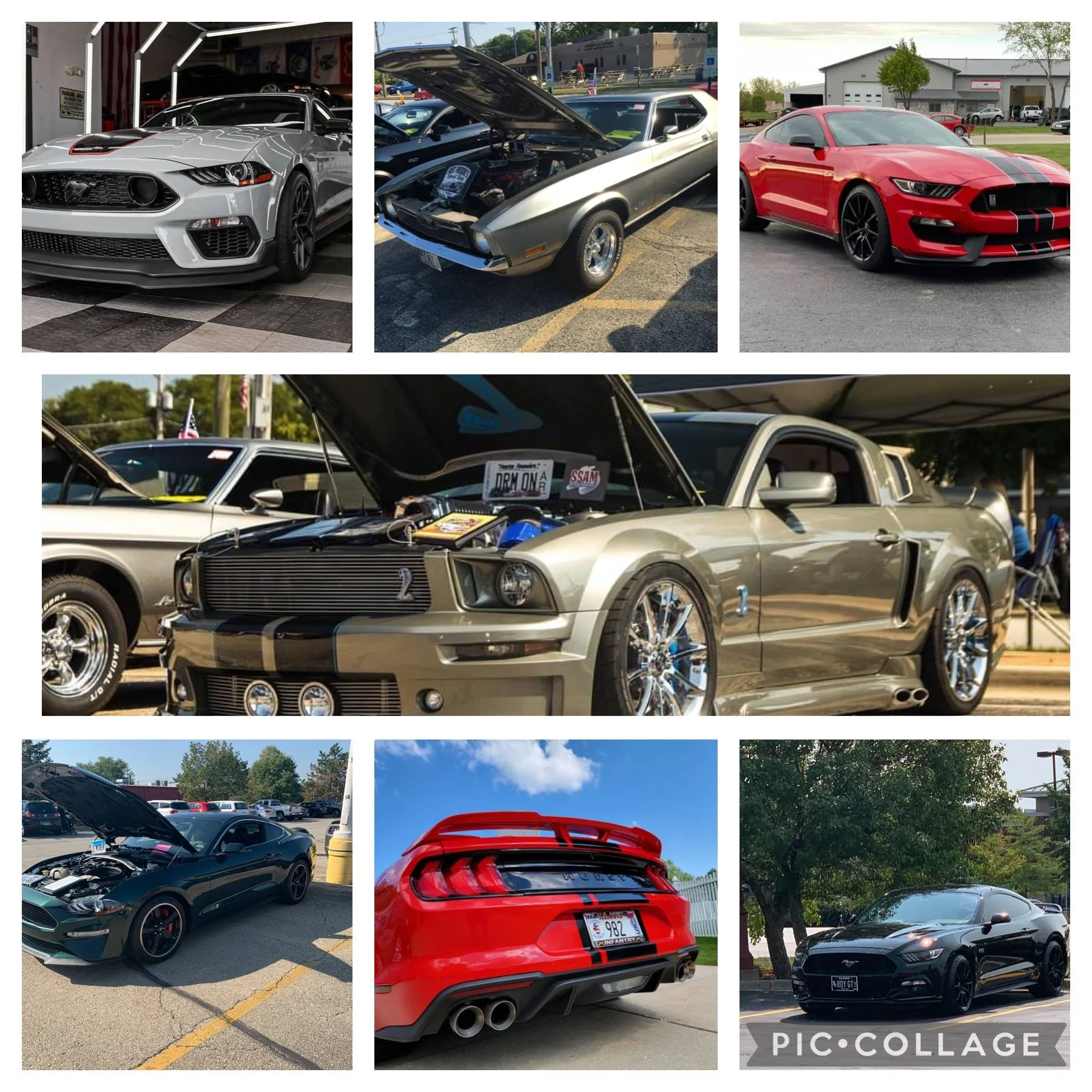 D04774F6-D14E-46D3-AE15-9342978E2453.webp