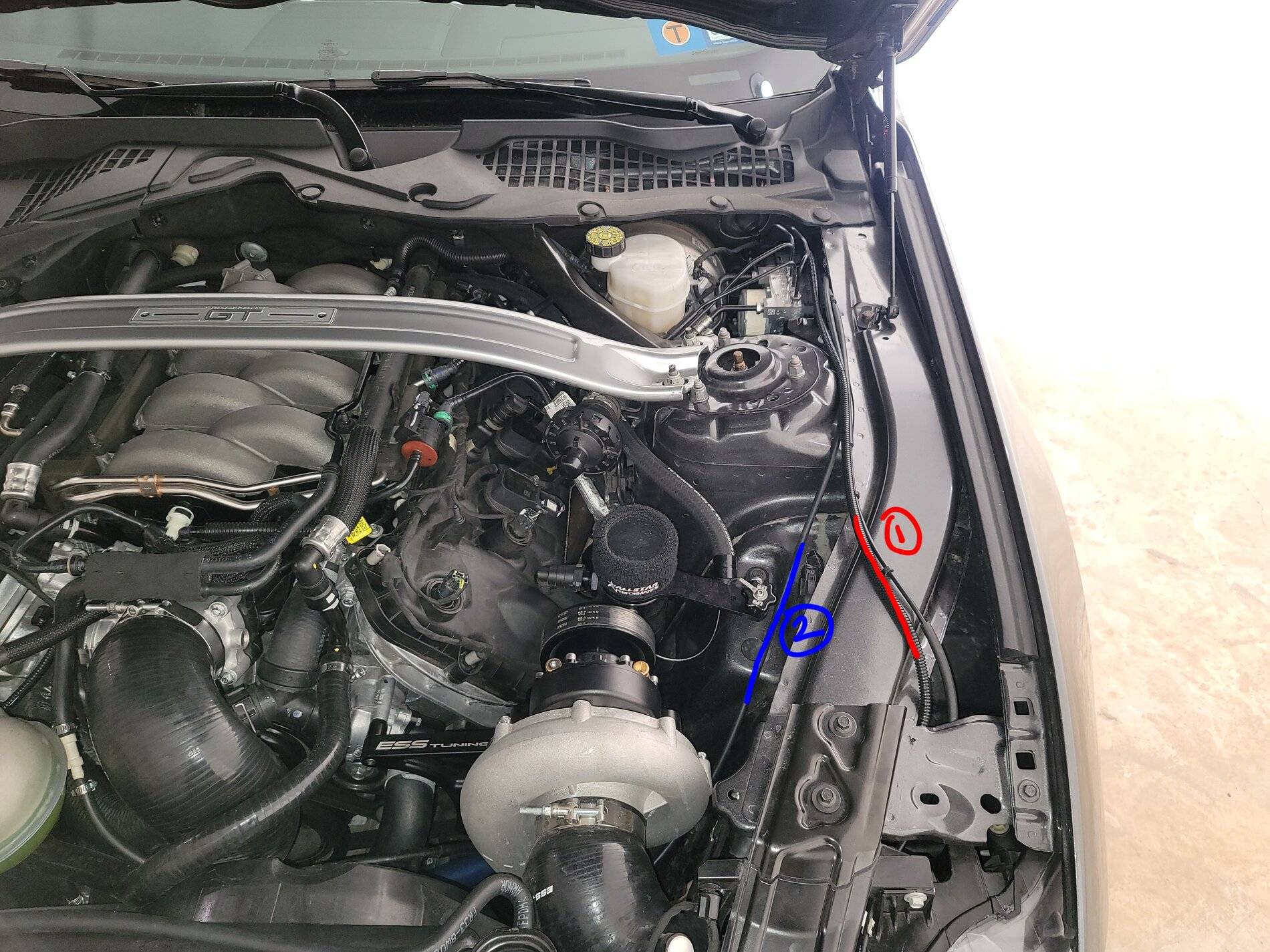 Lines_In_Engine_Bay.jpg