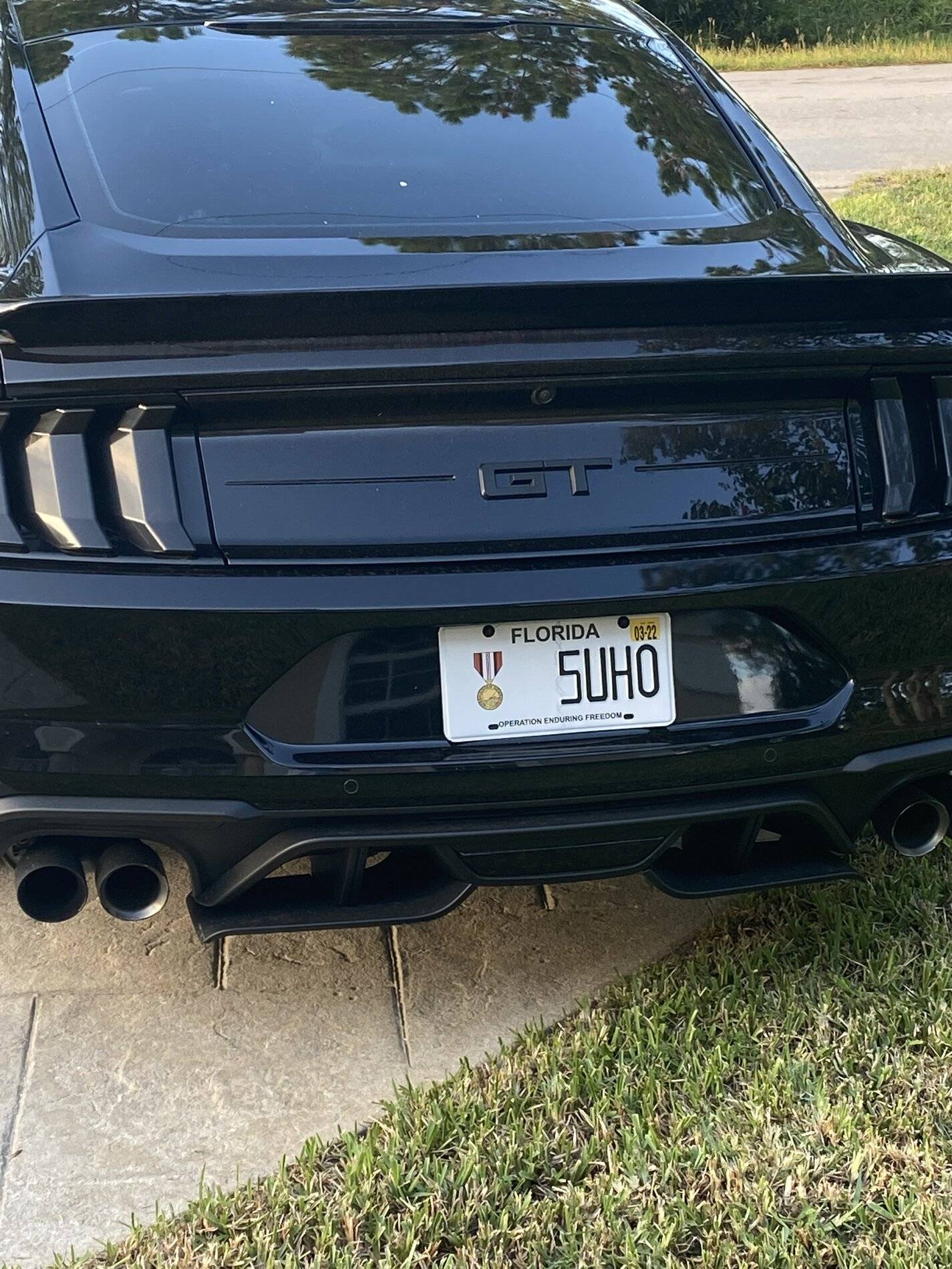 plate.JPG
