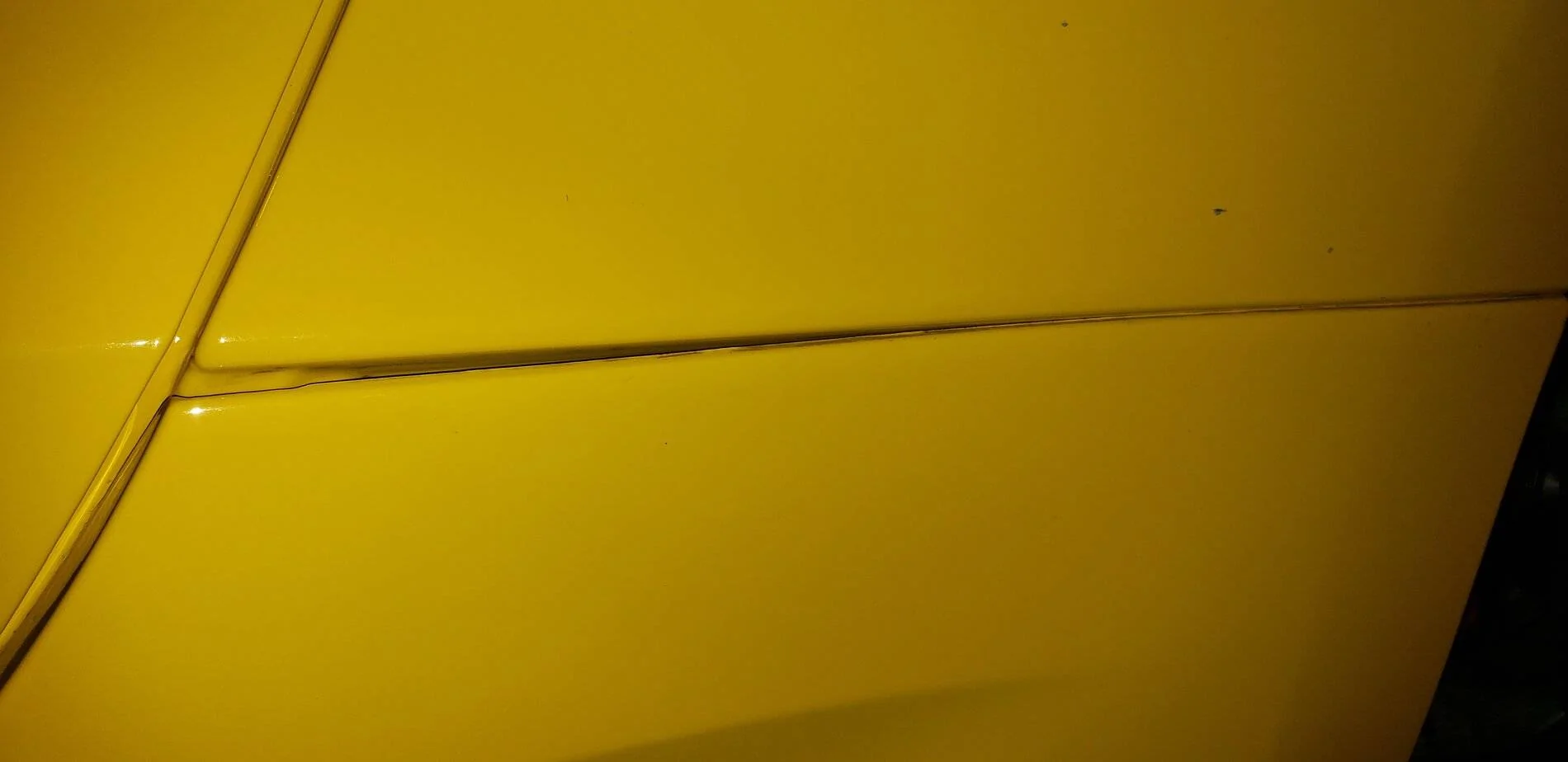 20210904_202416.jpg