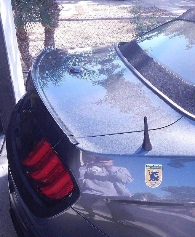 GrayCarSpoiler RSV.jpg