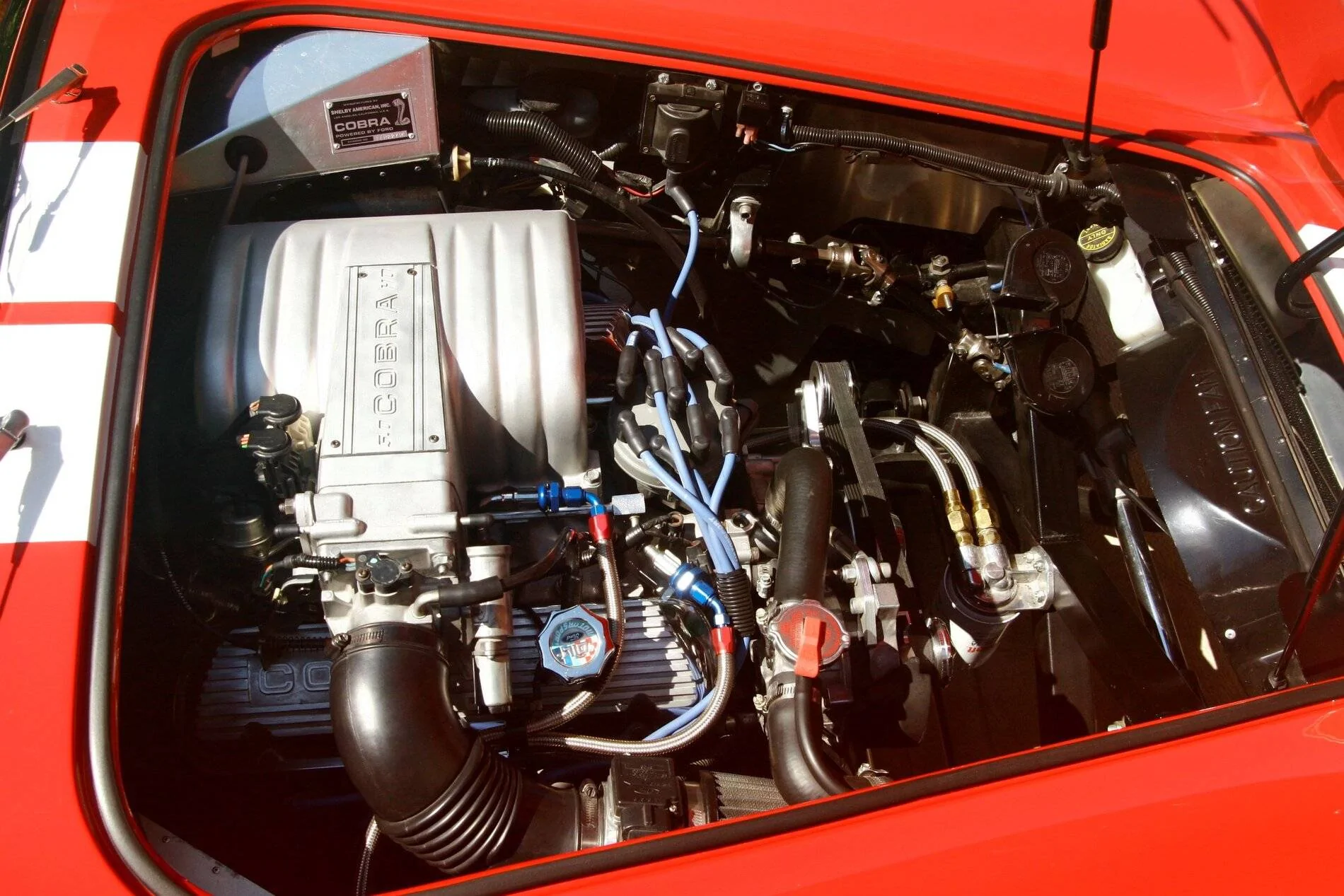 FFR271 002.jpg