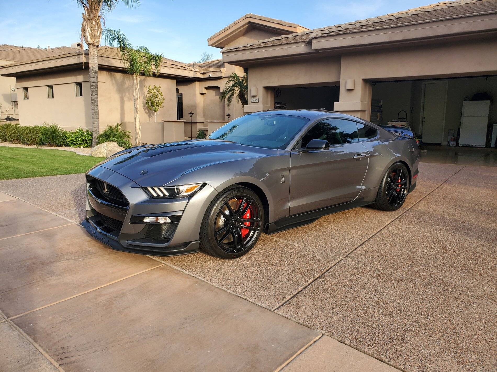 2021Shelby.jpg