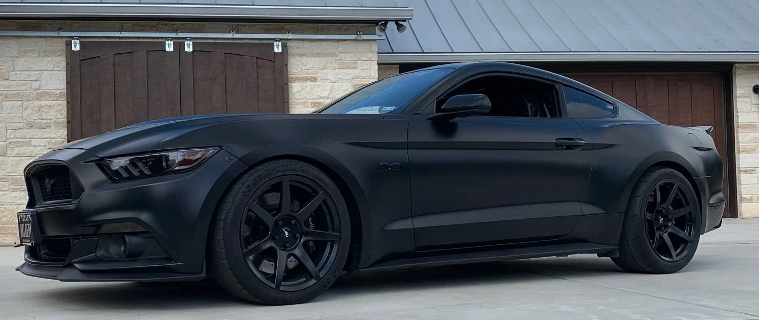 Mustang_crop.jpg