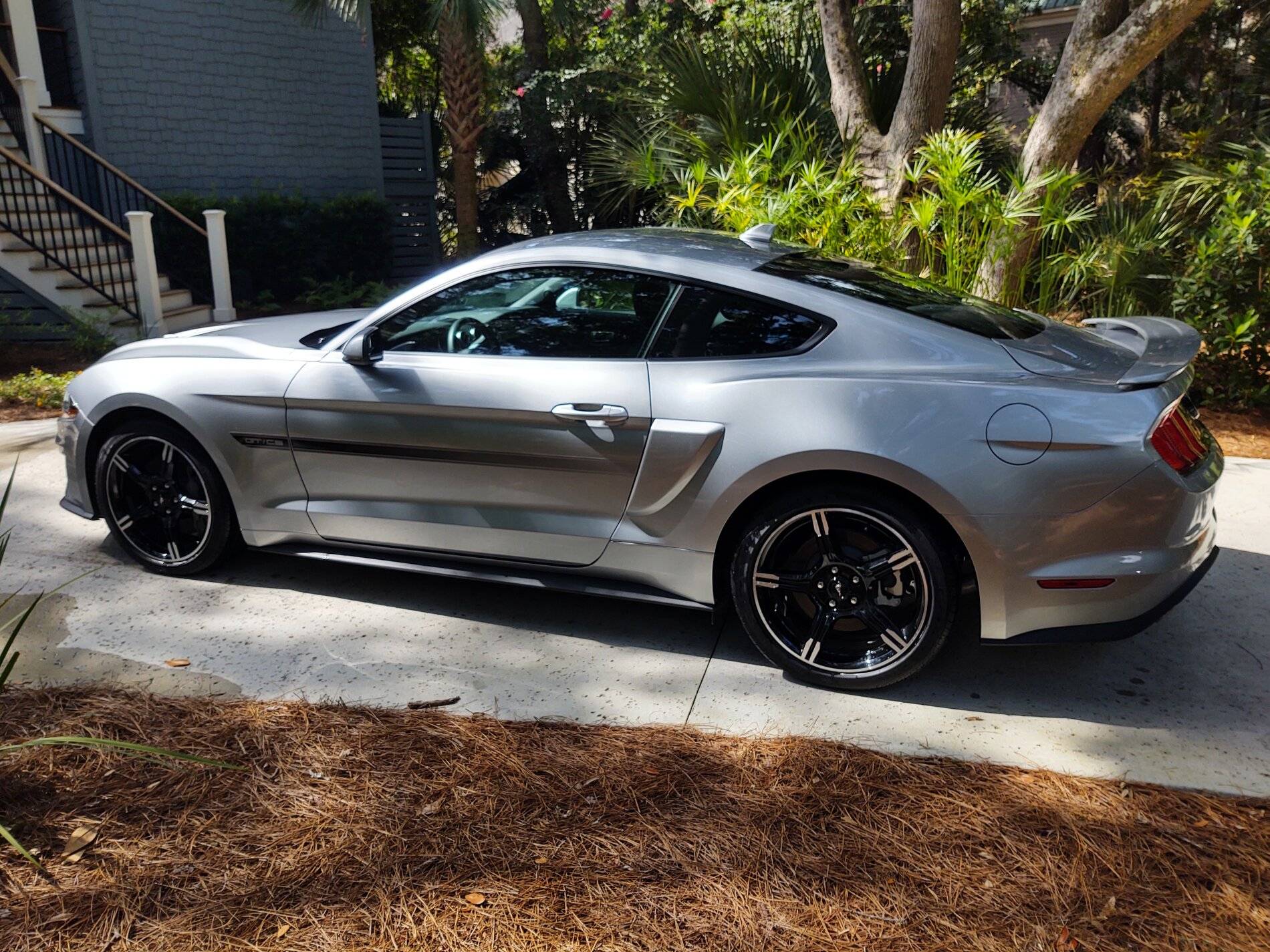 aaamustang.jpg