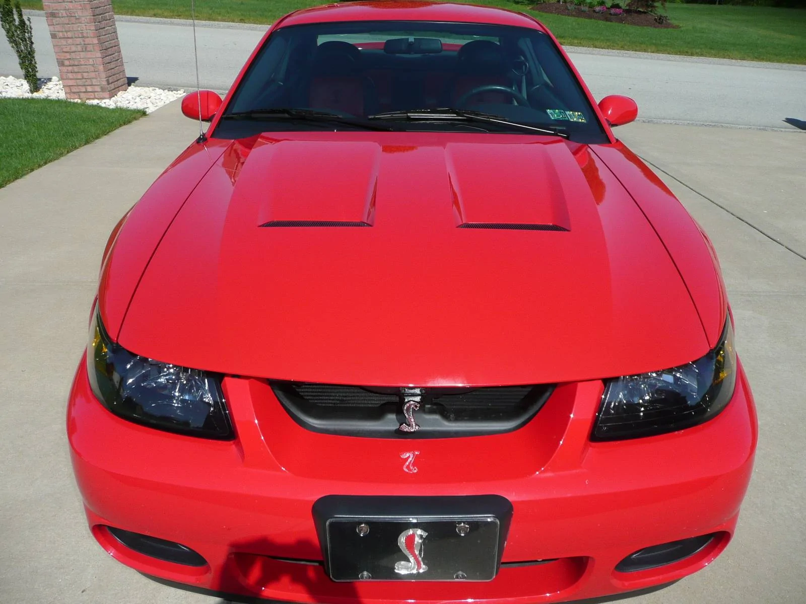 03 Cobra 016.webp