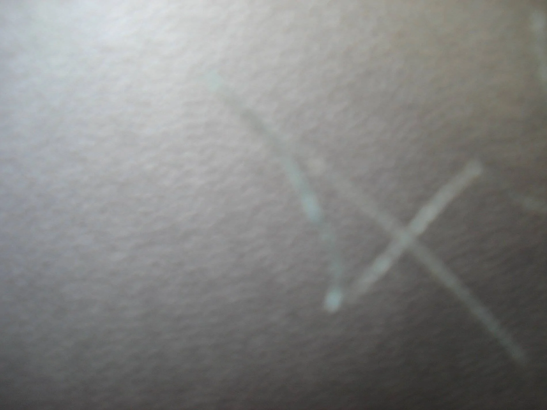 DSC03455.JPG