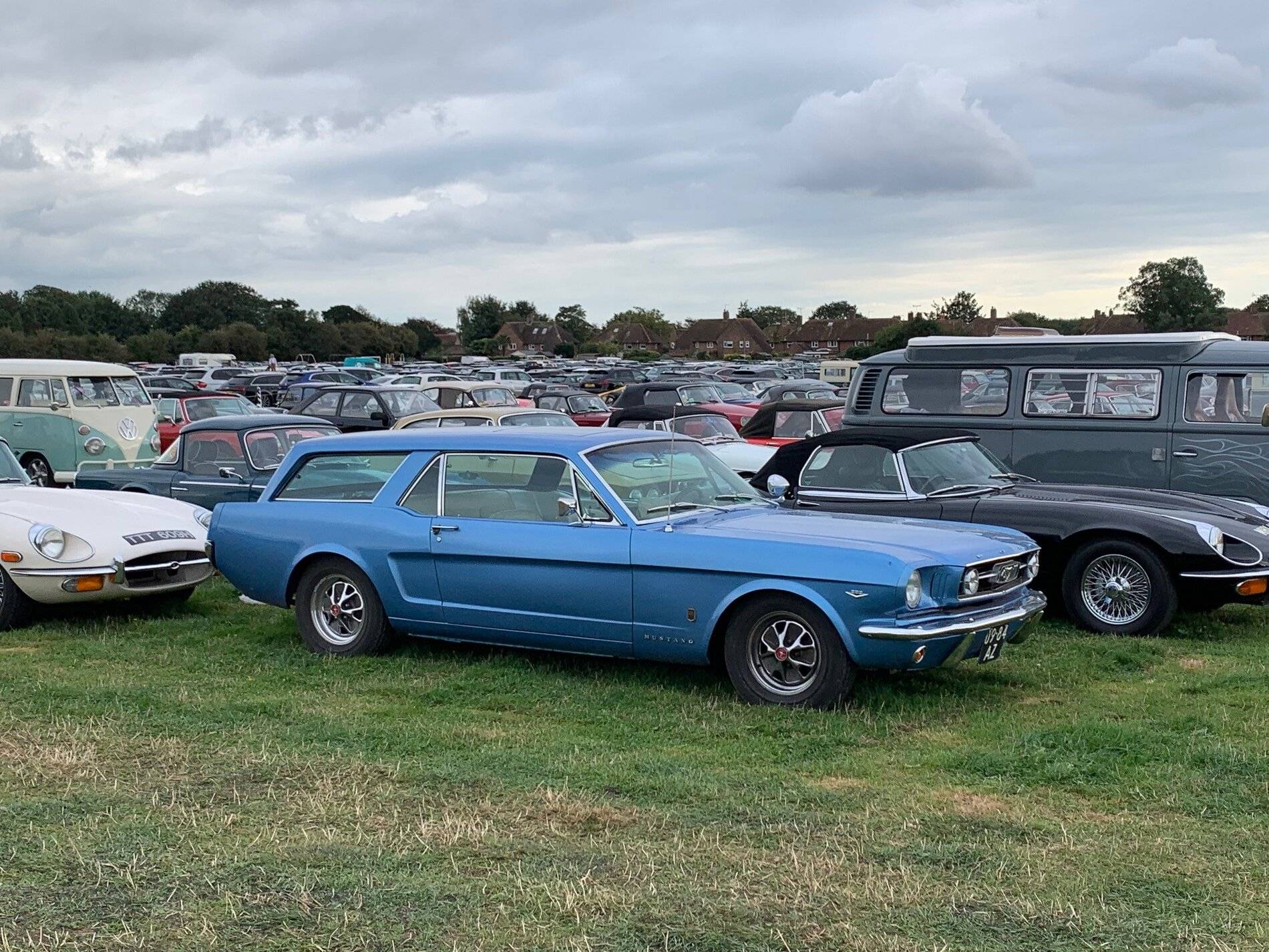 fastback.jpg