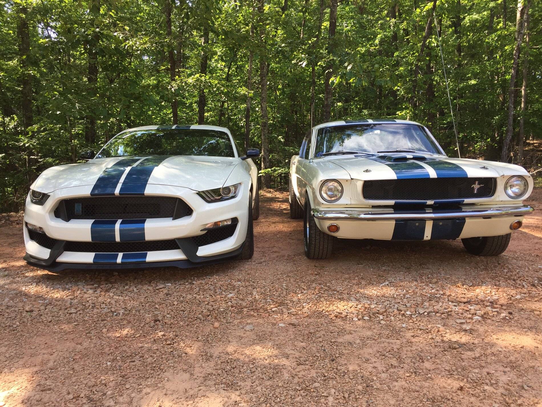 2 gt350's.jpeg