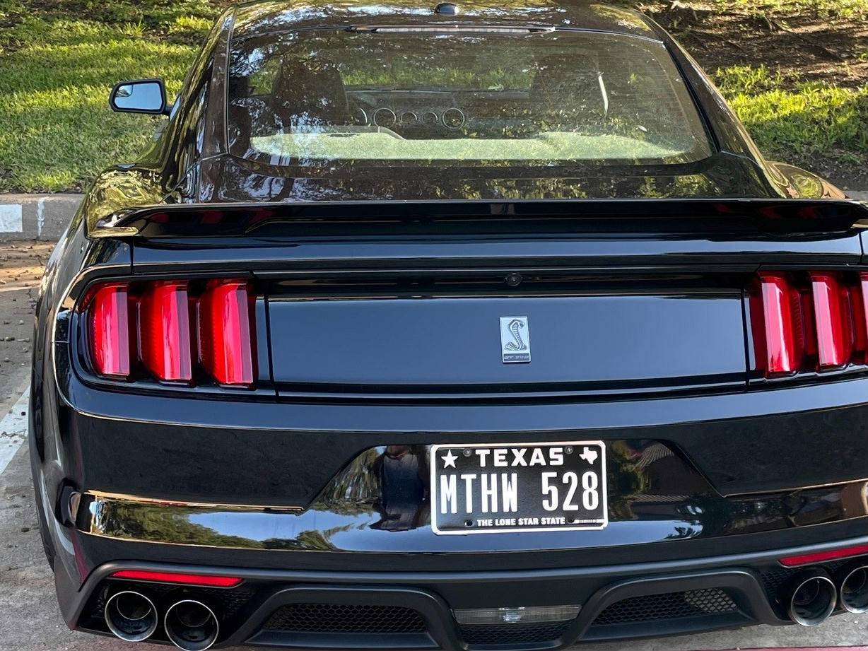 plate.jpg