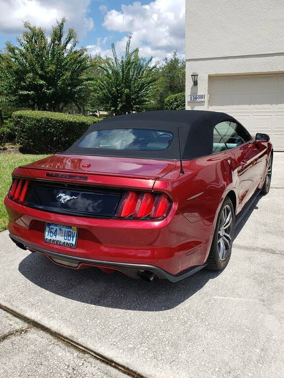 15Stang.rear[1].jpeg