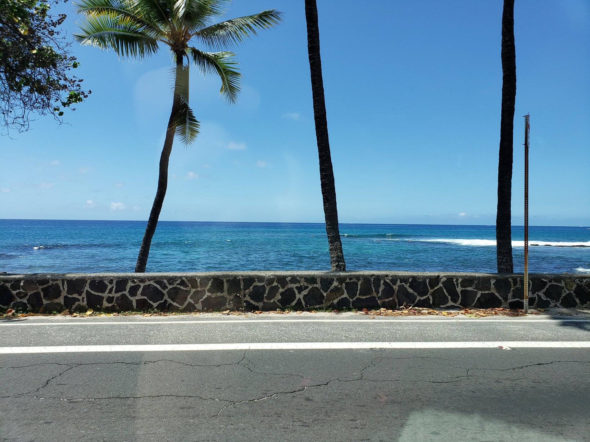 hawaii2020 511.jpg