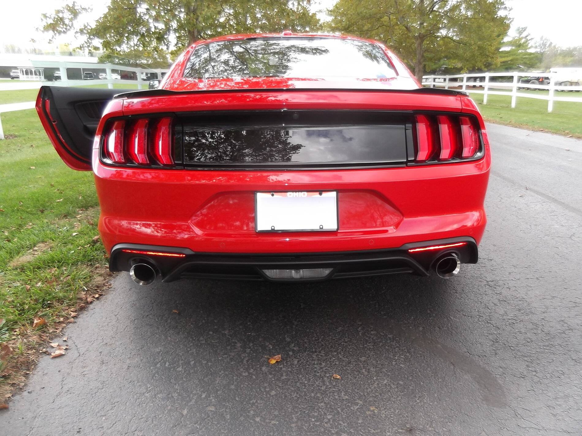 DSCF3648.JPG