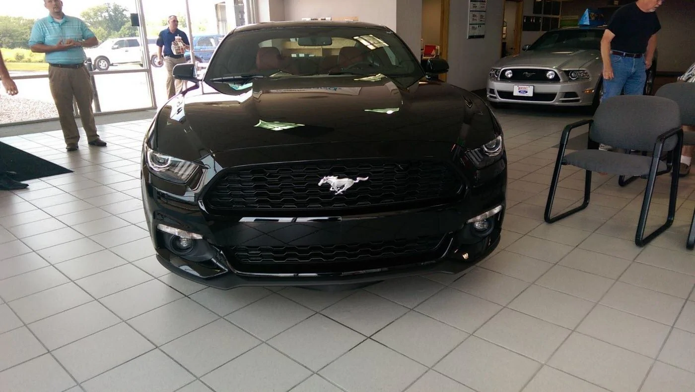 IMAG0116.webp