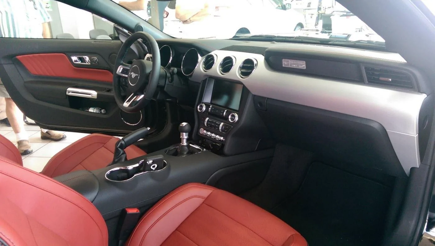 IMAG0123.webp