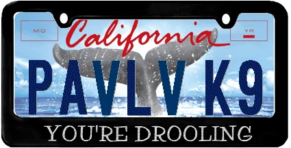 Plate.webp