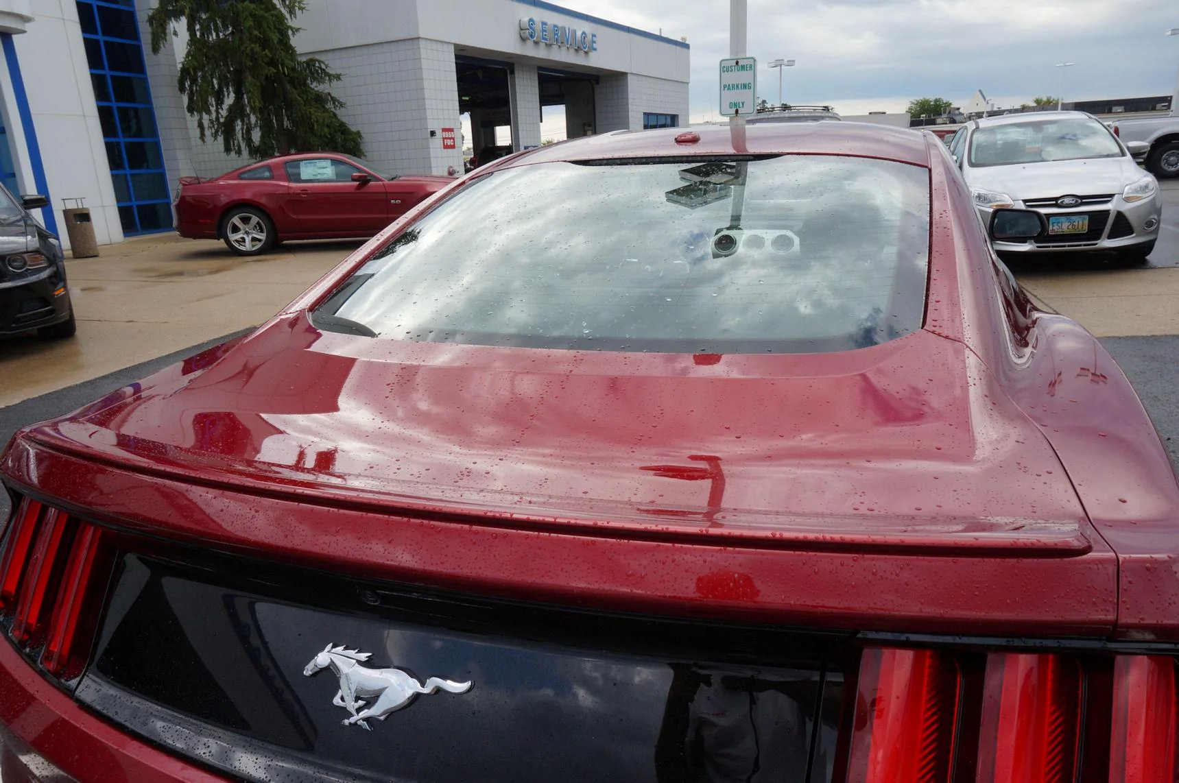 DSC00529_resize.webp