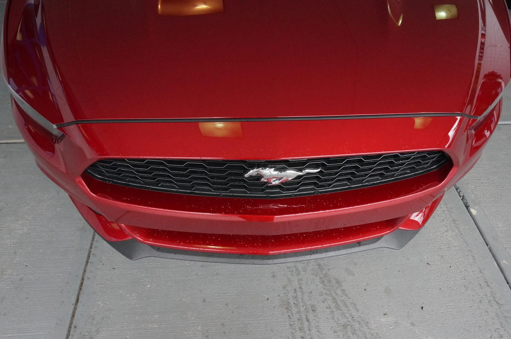 DSC00532_resize.webp