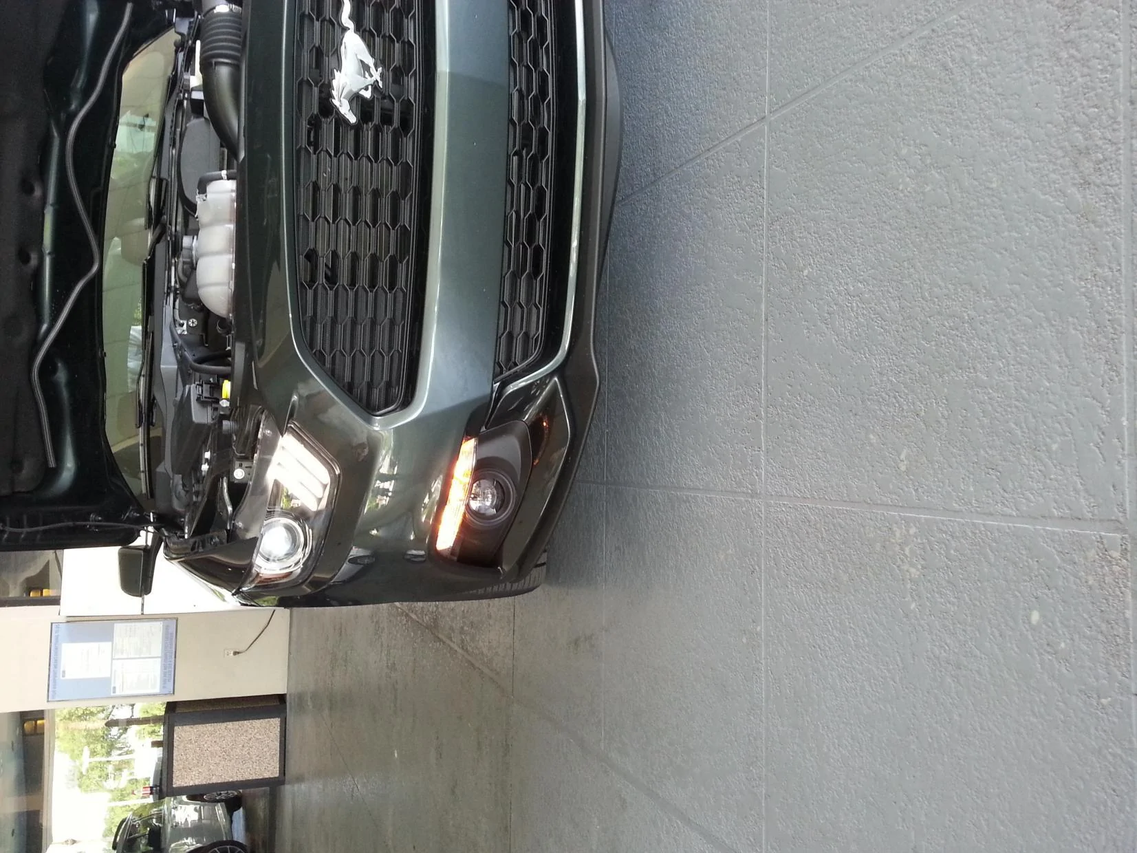 20140730_115016.webp