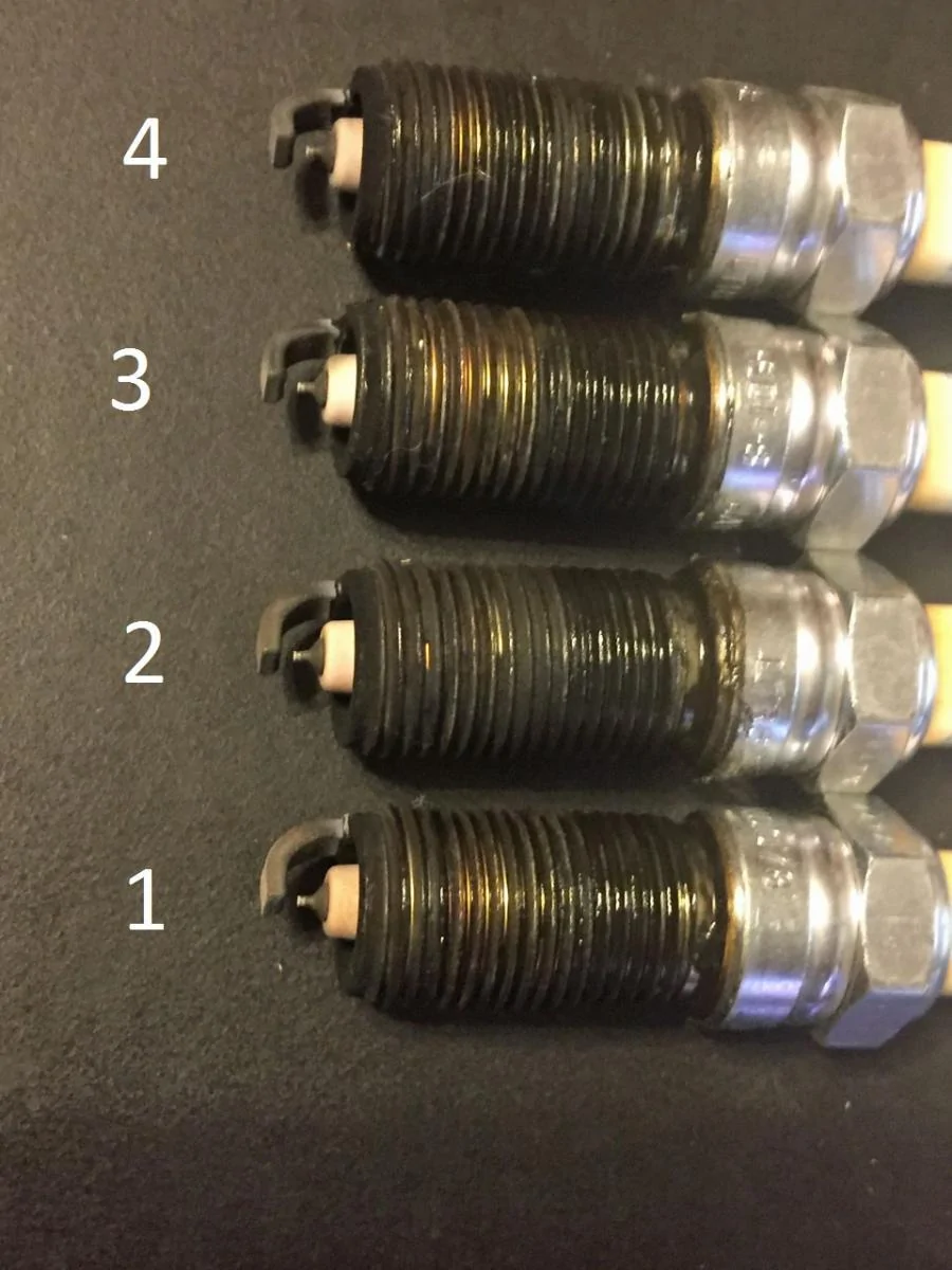 plugs.webp