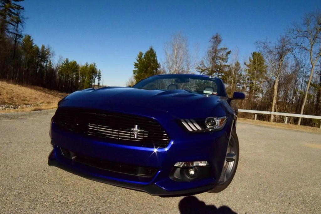 Mustang-1sm.webp