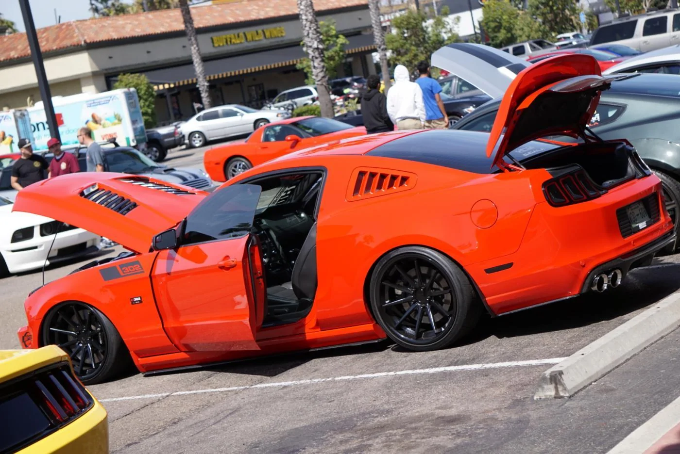image1.webp
