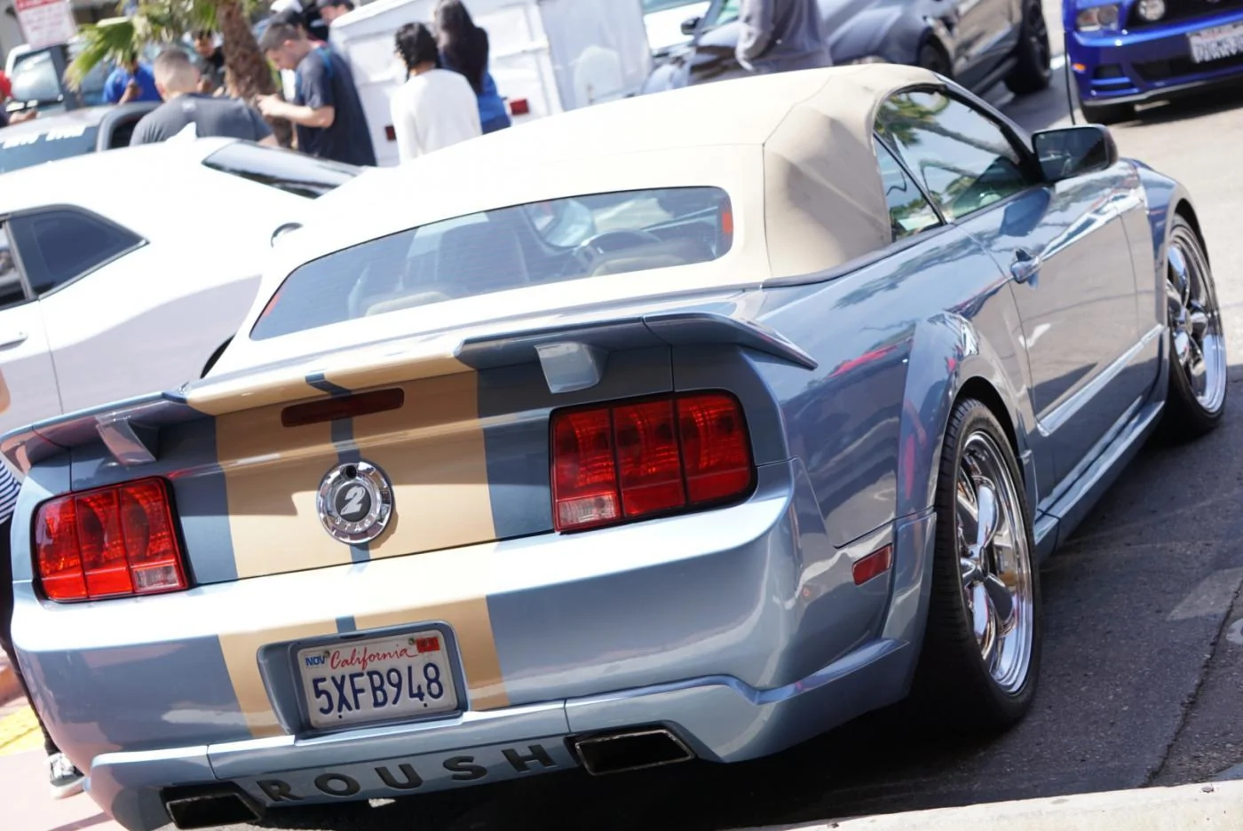 image3.webp