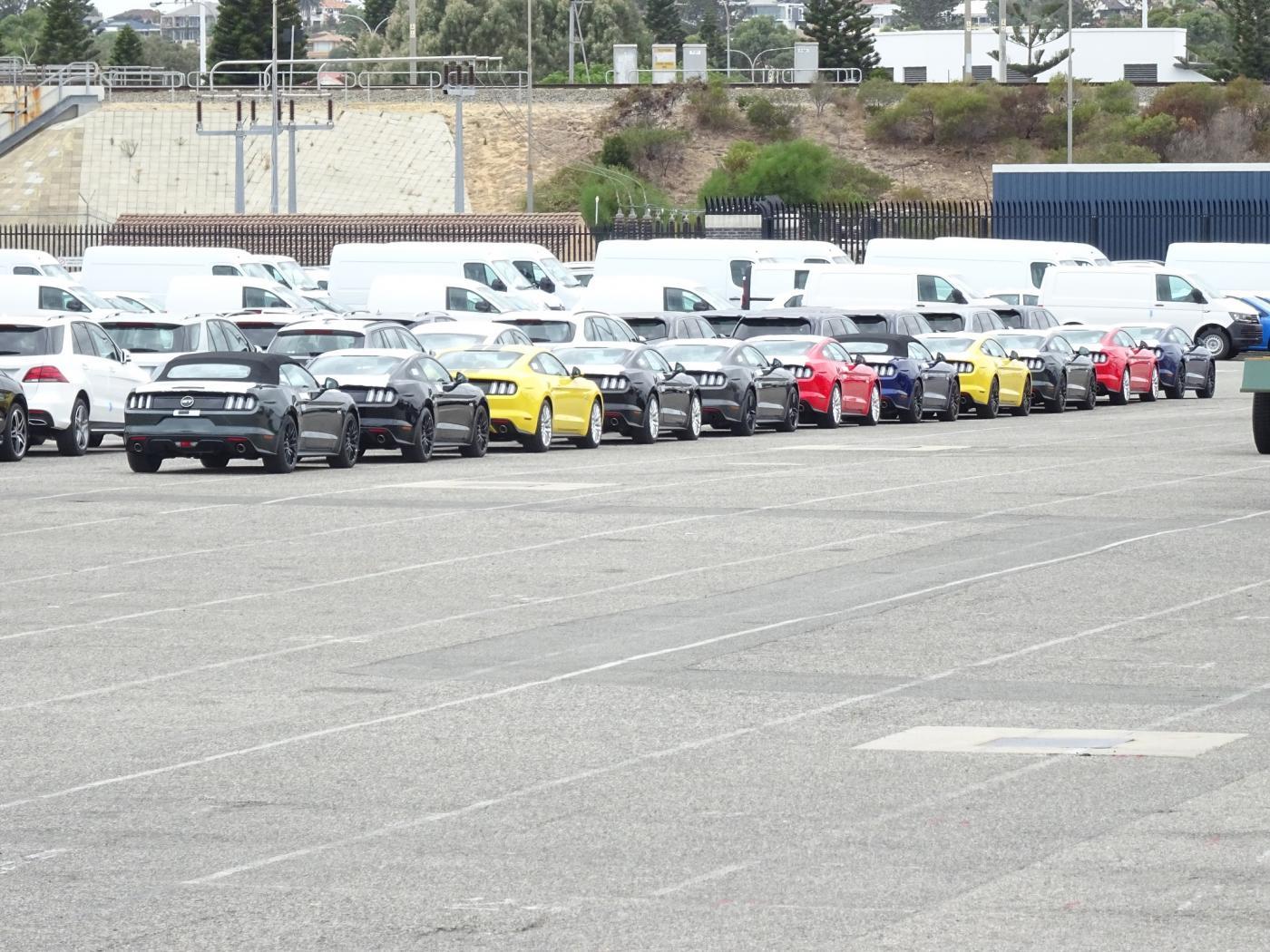 Mustangs at wharf 1 small.jpg