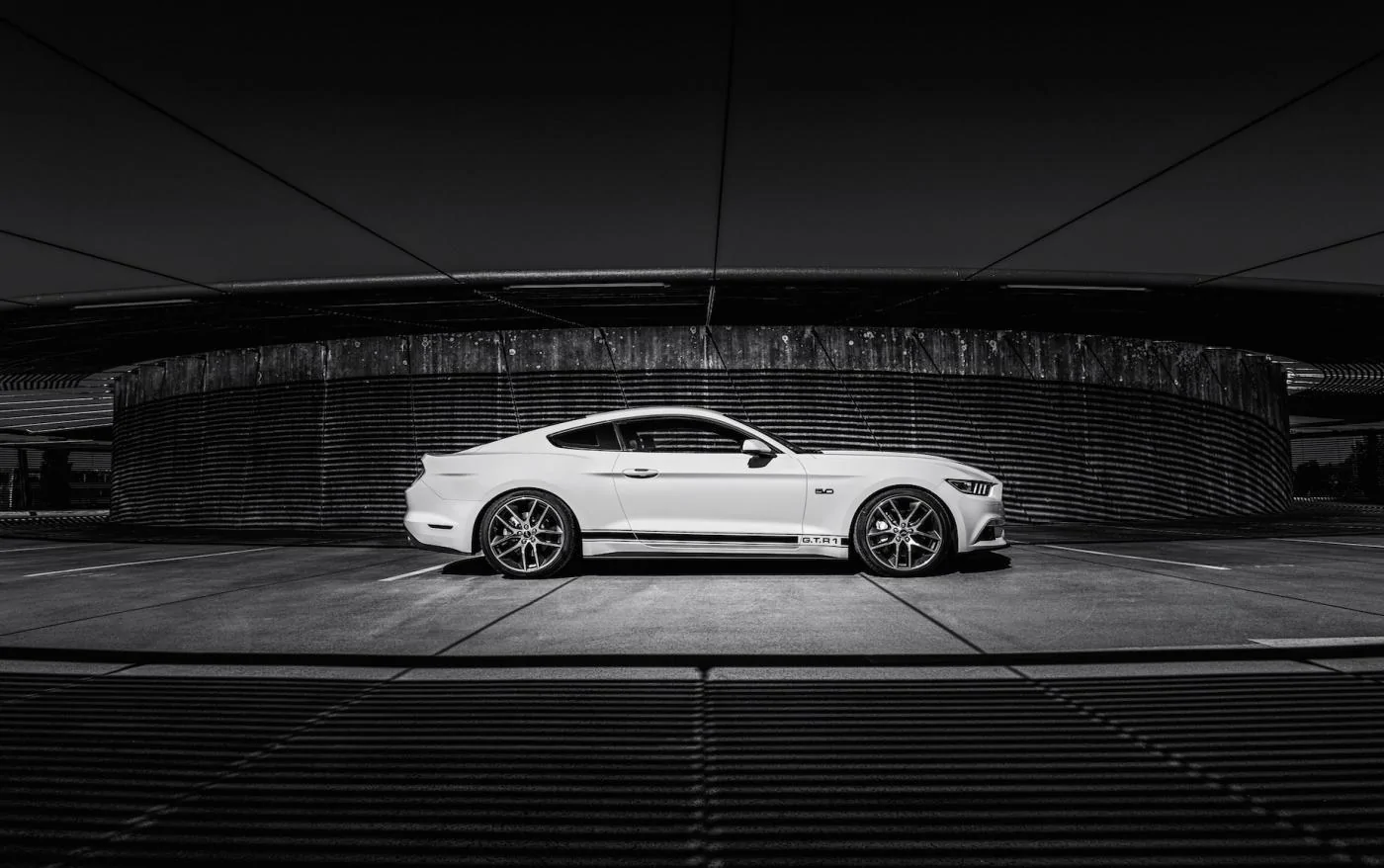 STANG BURDA.webp