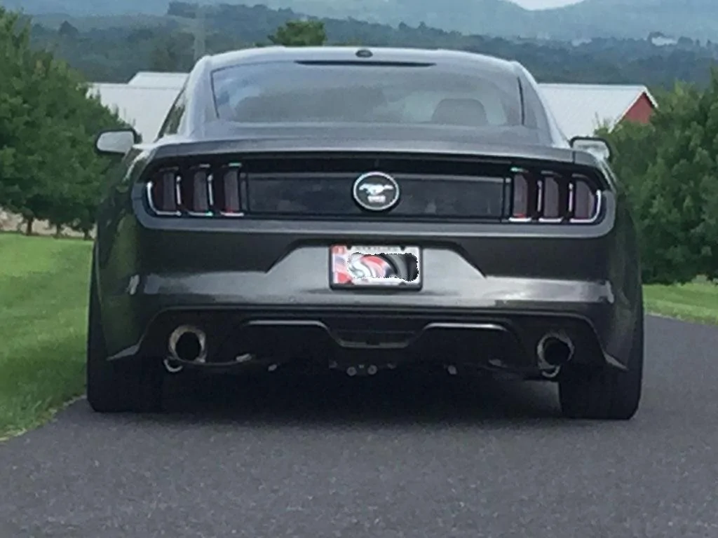 rear.webp