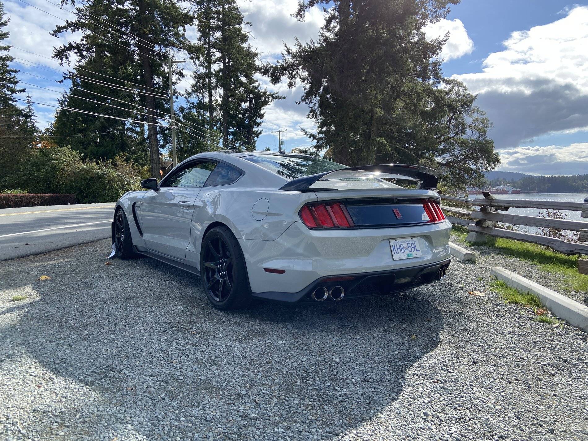 Canada - BC - Rare GT350R FOR SALE | 2015+ S550 Mustang Forum (GT ...