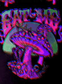 eat-me-shrooms.gif