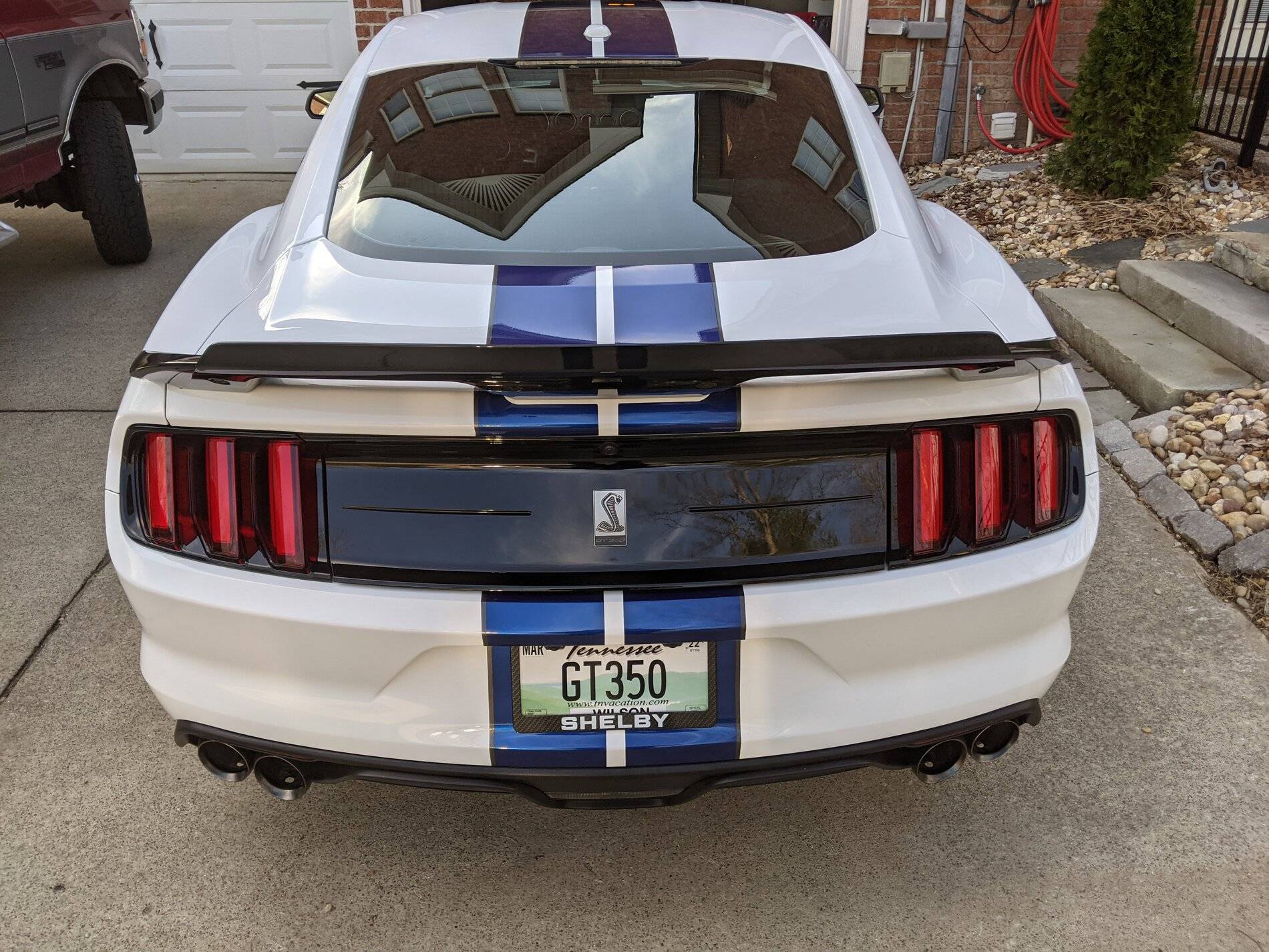 GT350 Plate.jpg