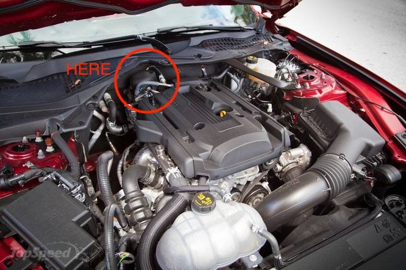 2019-ford-mustang-4--27_800x0w.jpeg