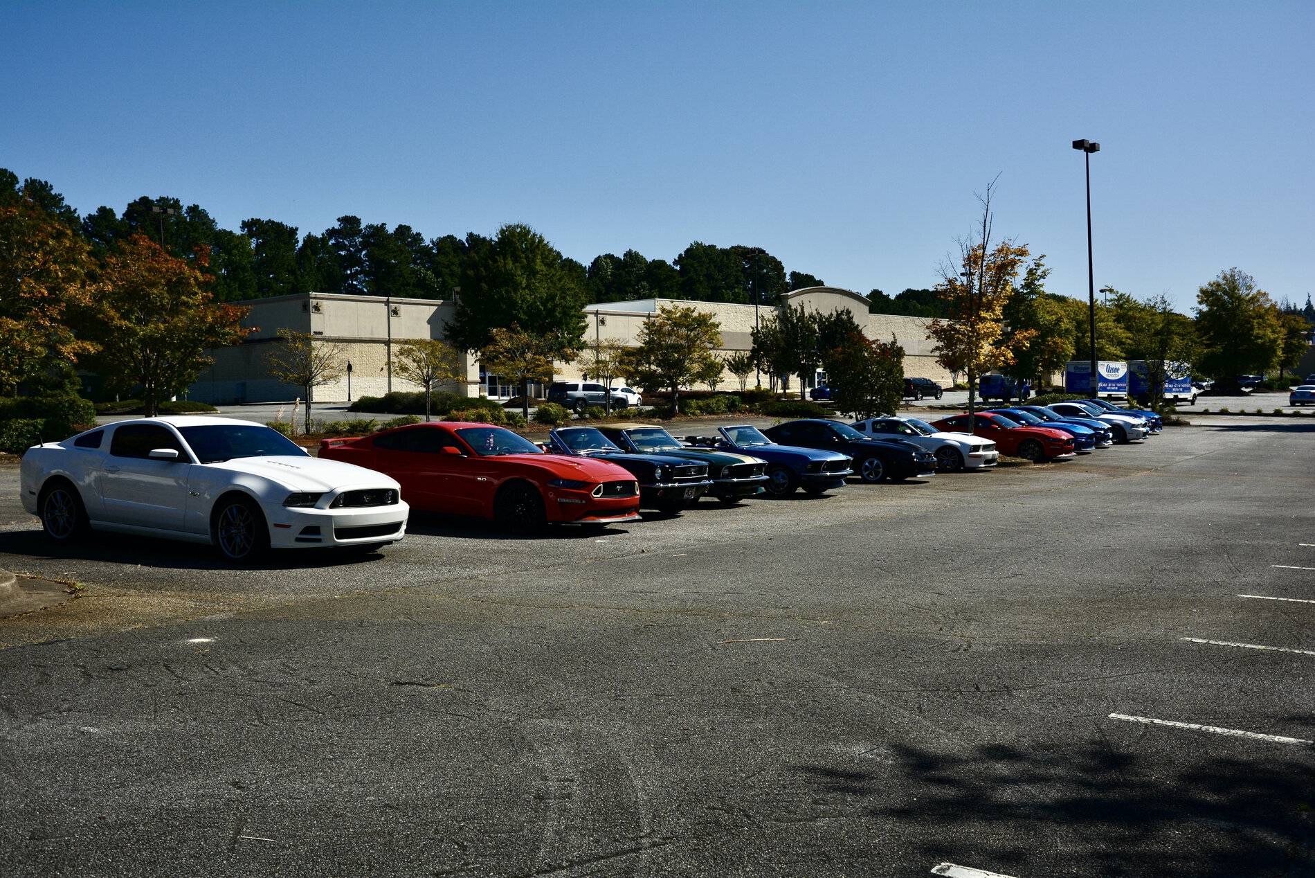 DSC_0040.JPG