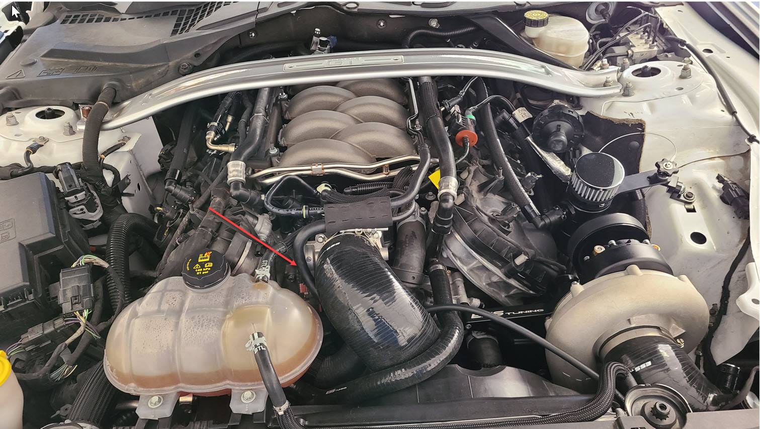 EngineBAY.jpg