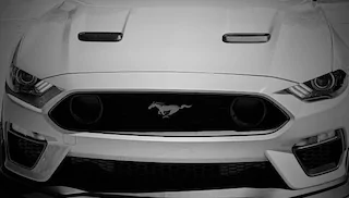 IMG_0031.jpeg