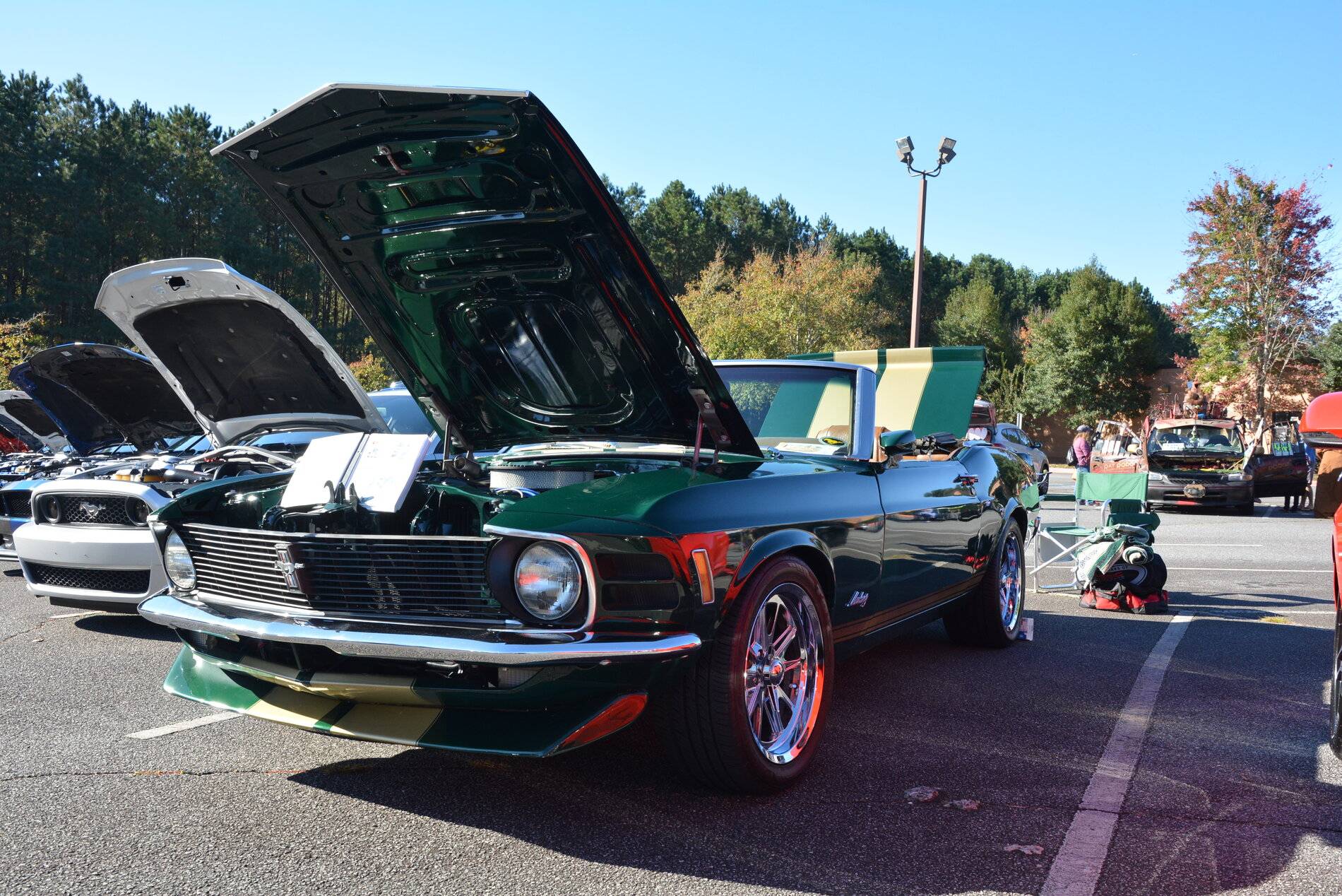 DSC_0024 2.JPG