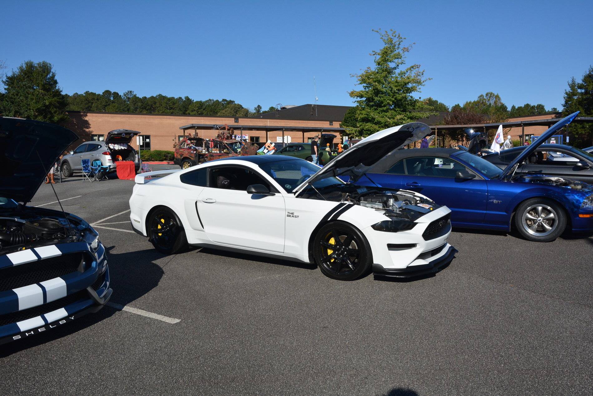 DSC_0016.JPG