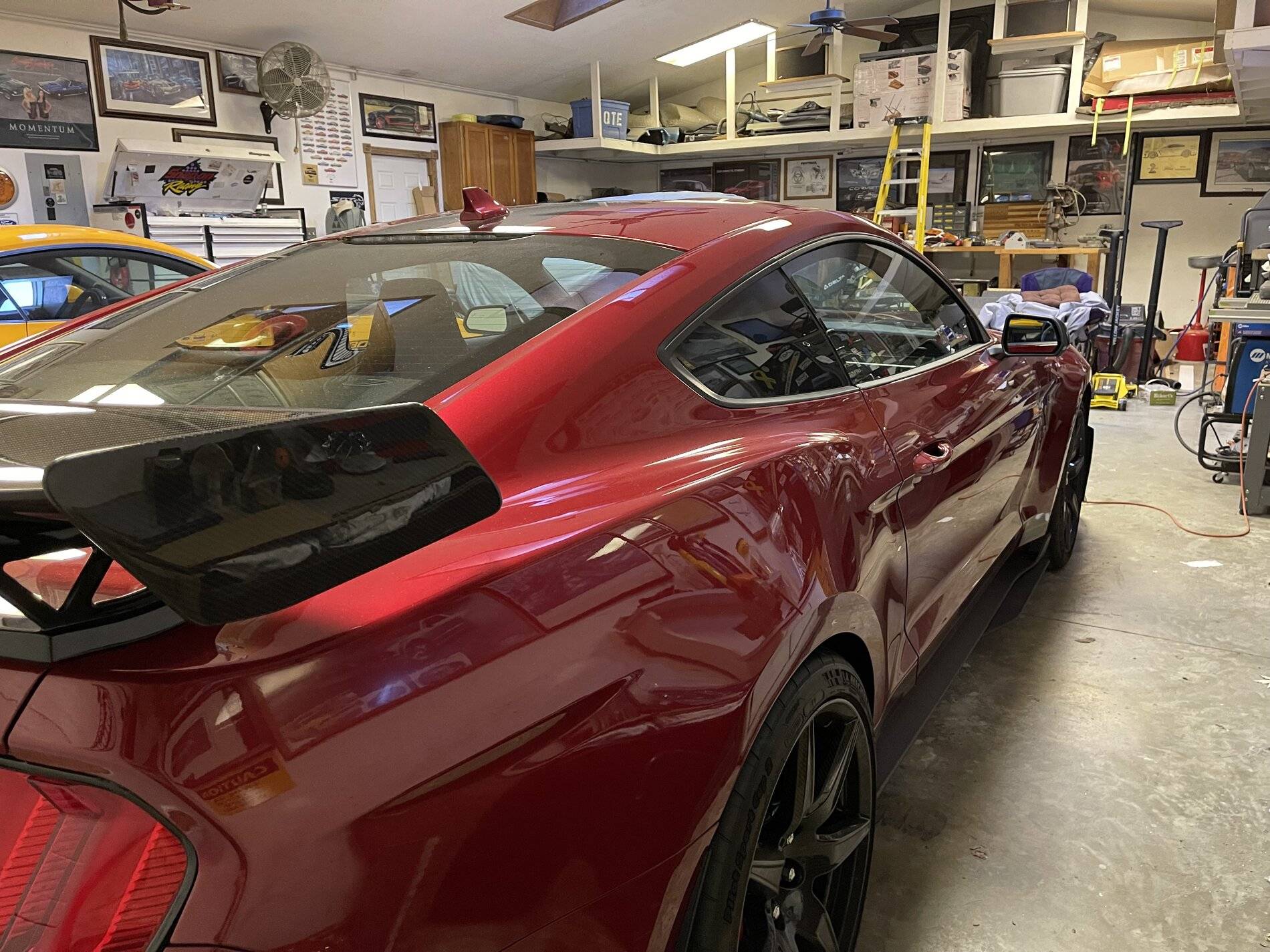 2021 shelby red 3.jpg