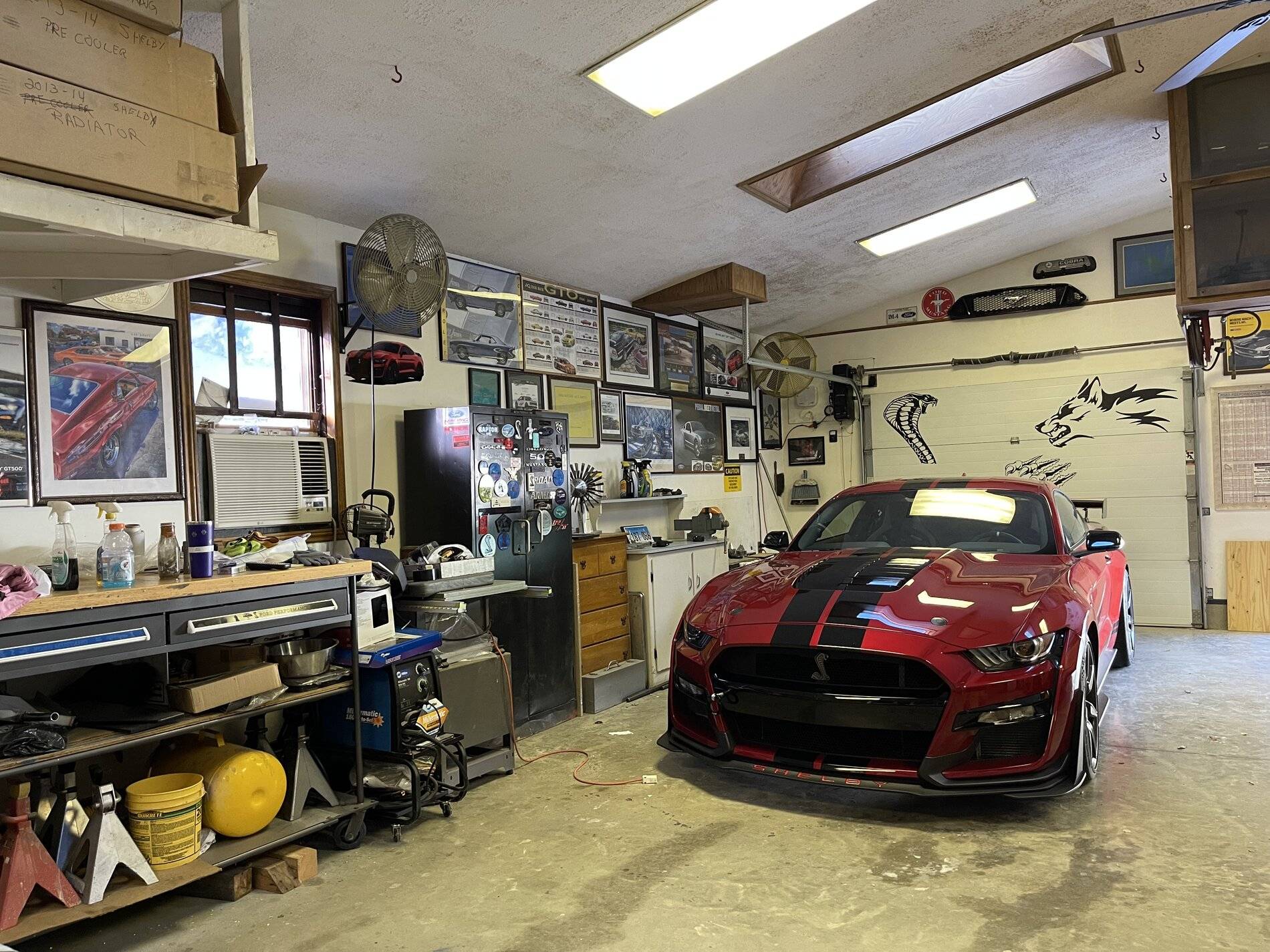 2021 shelby red 2.jpg