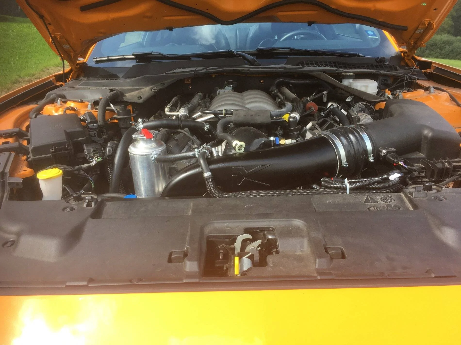 DDA55EF7-6DAF-4F23-98E4-82554C8C3D4B.webp